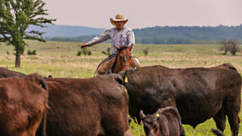 Ranch hand corralling cattle