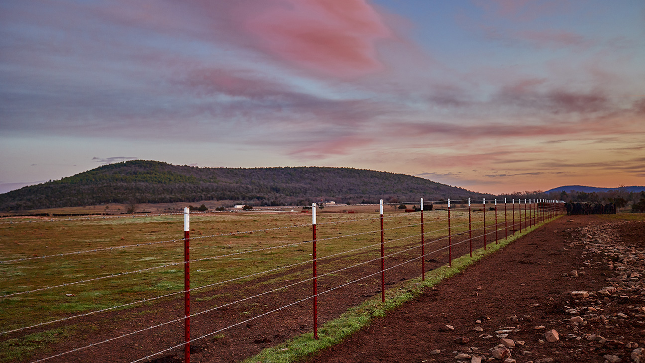 A view of the fence line and a beautiful sunrise over Choctaw Ranches.