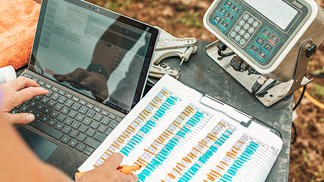 Rancher performing computer analysis