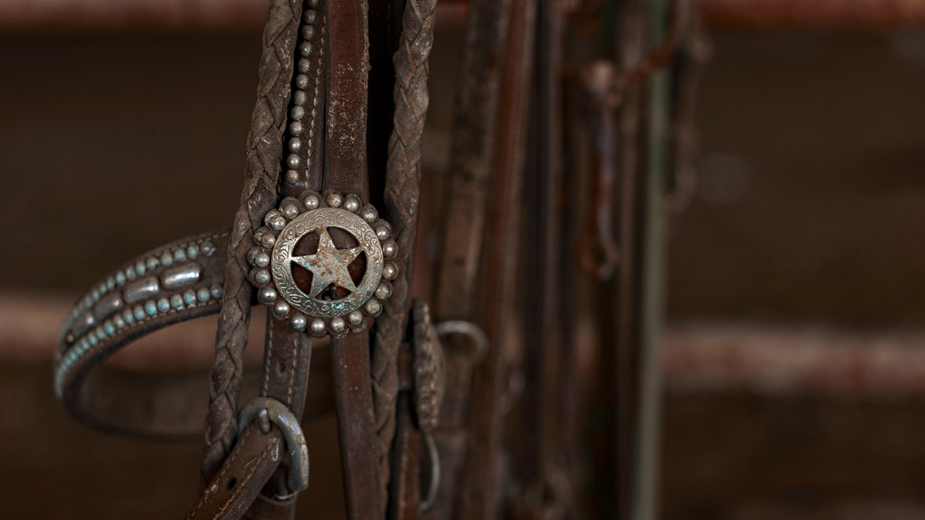 A bridle hanging on a wooden post.